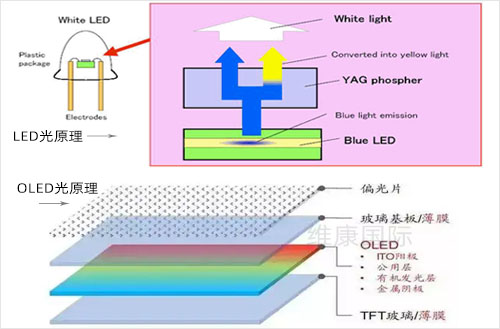 2LED OLED3.jpg