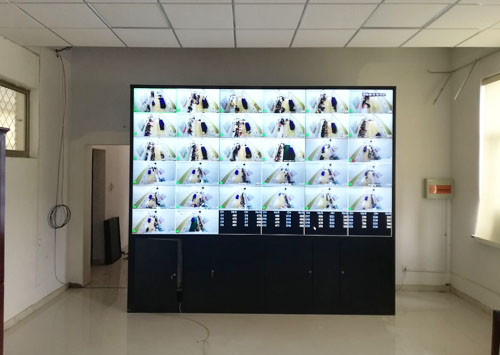 46ҺƴԺʾϵͳ